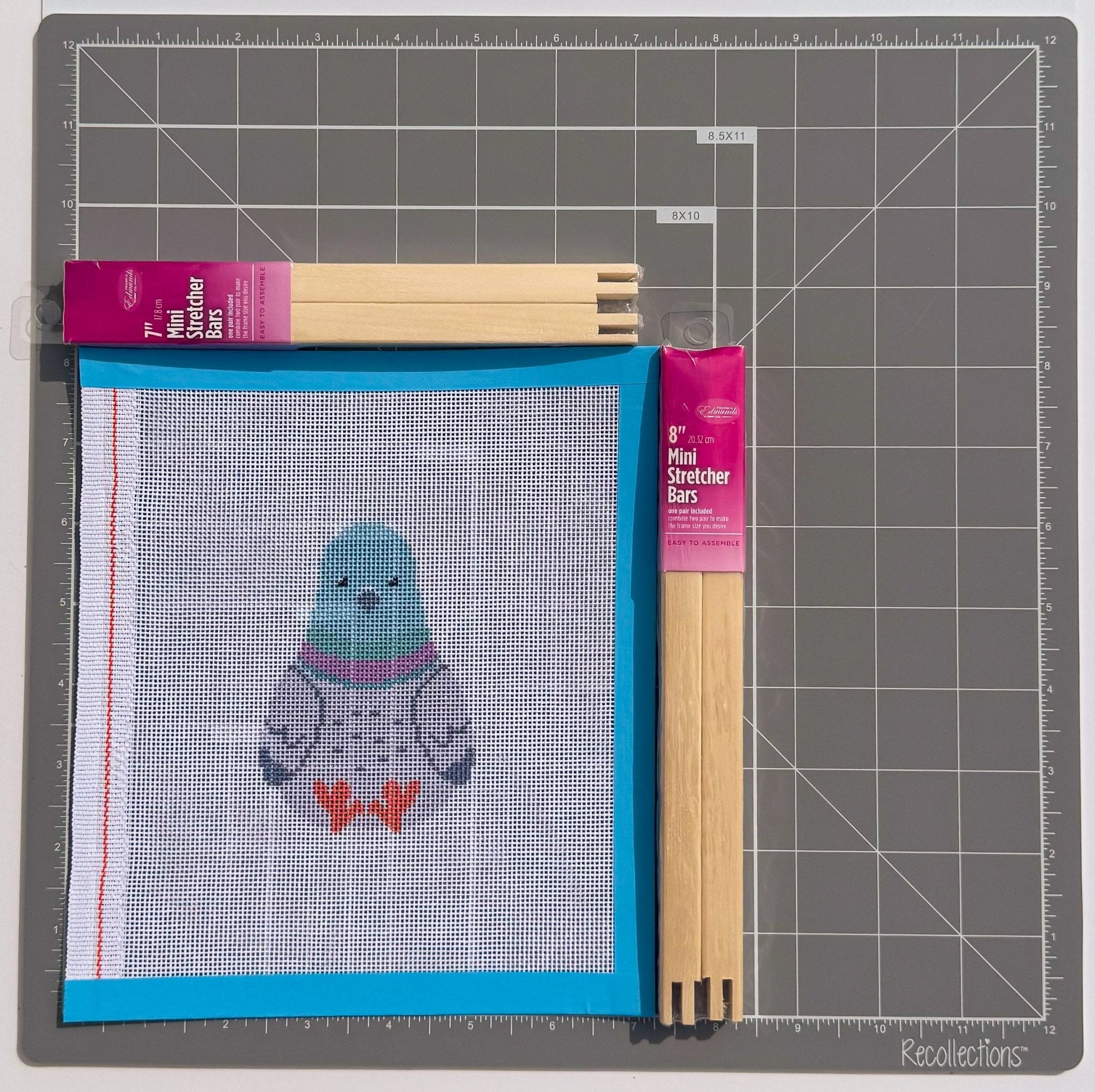Whimsical Pigeon Plush printed needlepoint canvas - NeedleLittleStitchCo