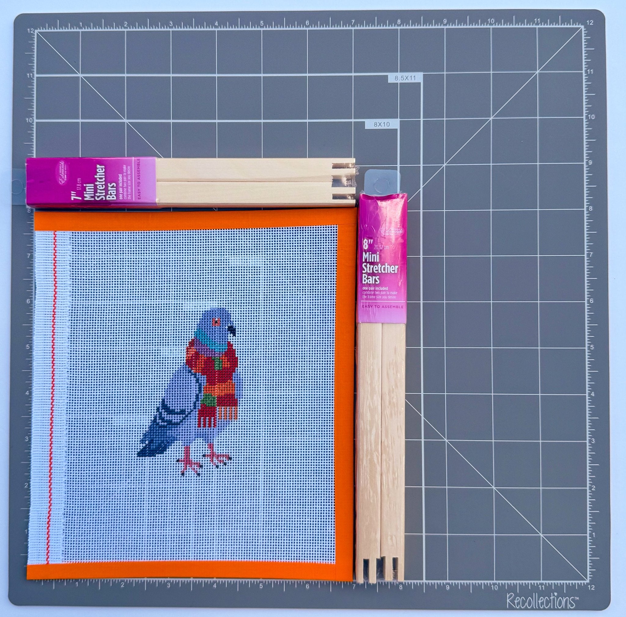 New York City Pigeon in a Fall Scarf printed needlepoint canvas - NeedleLittleStitchCo