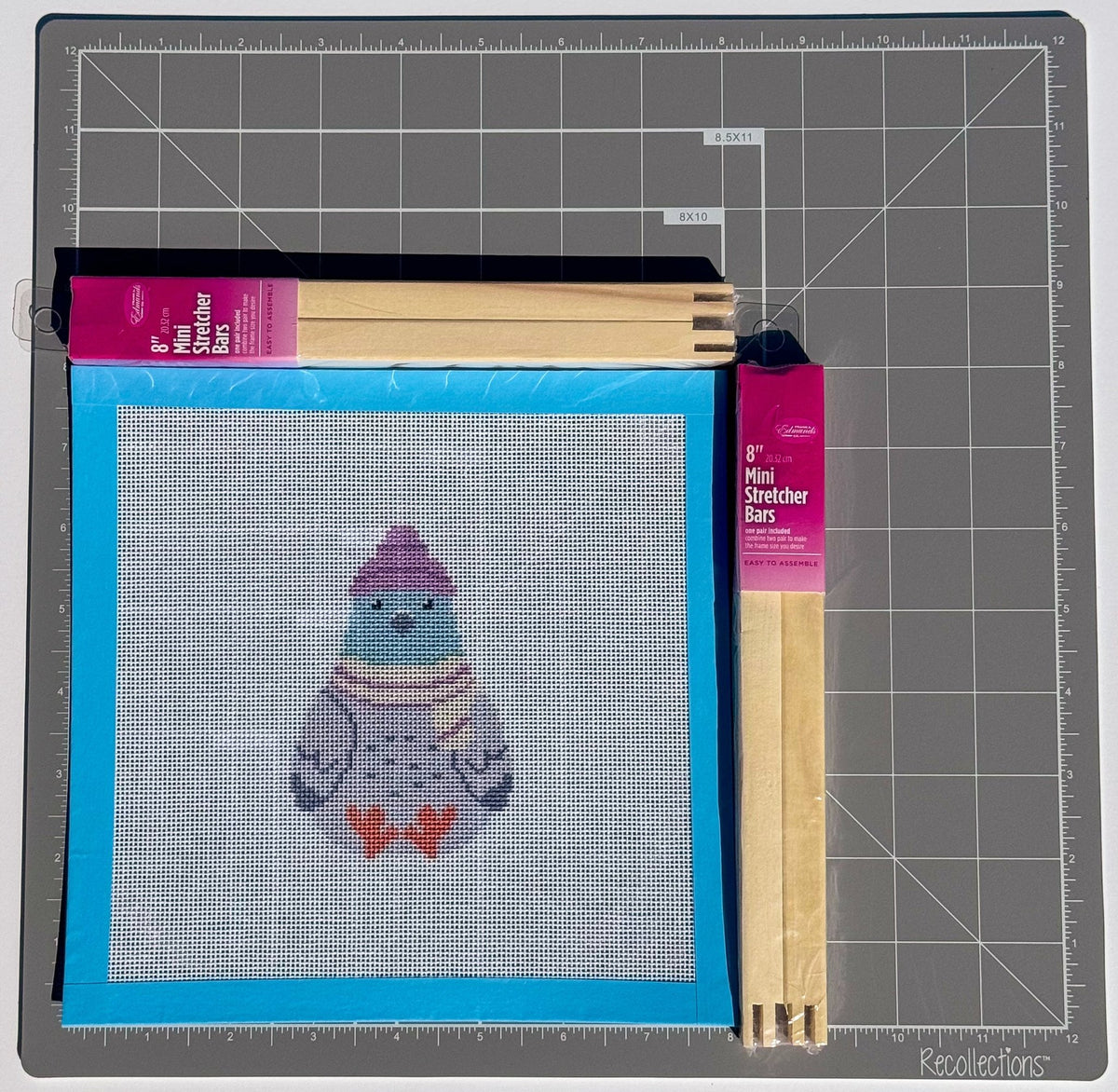 Winter Whimsical Pigeon Plush printed needlepoint canvas - NeedleLittleStitchCo