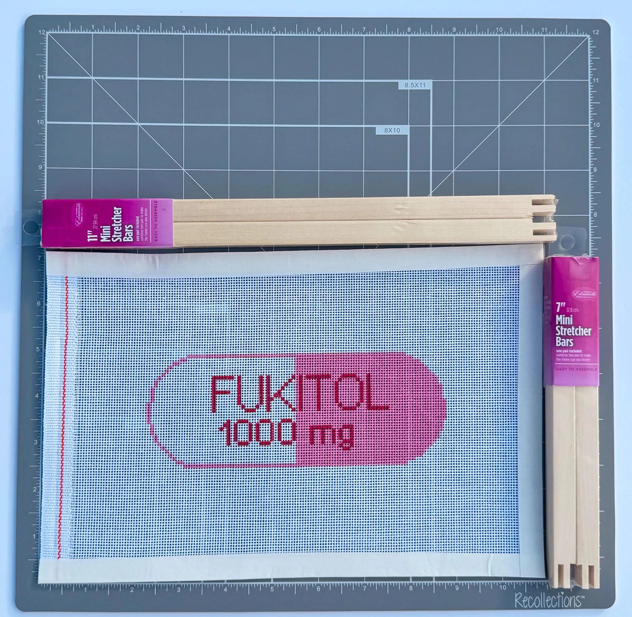 Funny Fukitol Pill Sign printed needlepoint canvas - NeedleLittleStitchCo