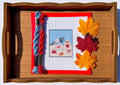 Pigeon with Cider Cup printed needlepoint canvas - NeedleLittleStitchCo
