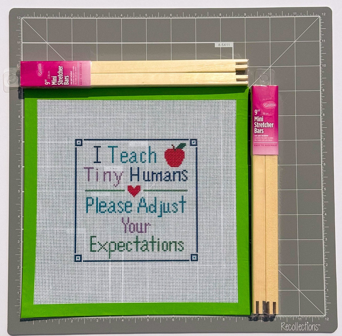 Teach Tiny Humans printed needlepoint canvas - NeedleLittleStitchCo
